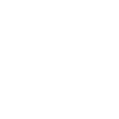 Skid Steer